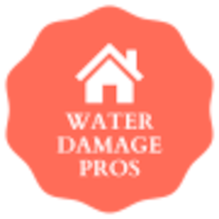 water damage pro logo Savannah, GA